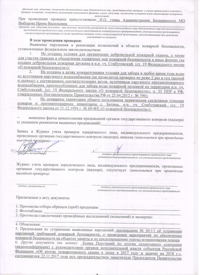 Акт проверки органа государственной власти (местного самоуправления) № 30